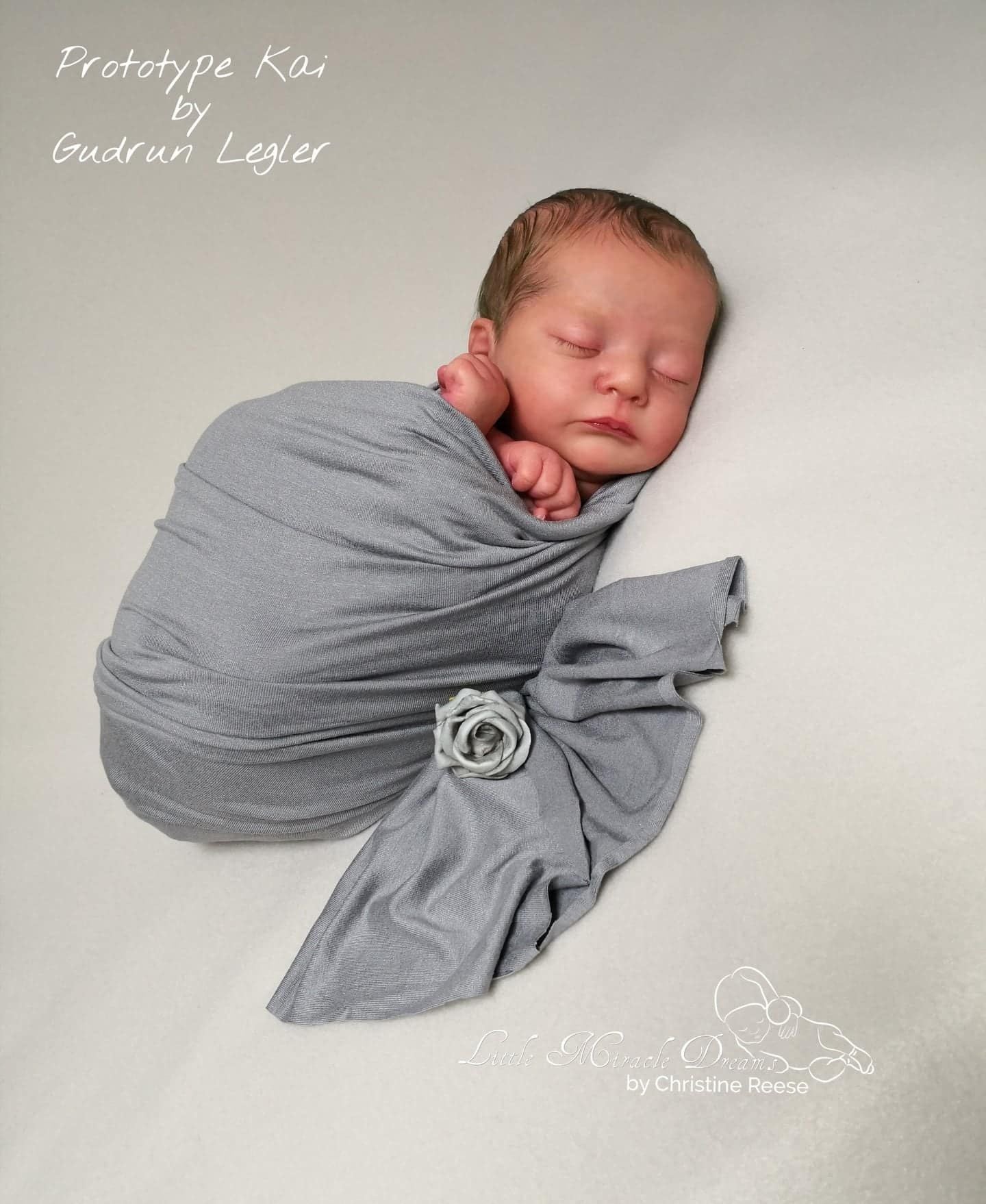 Rebornbaby Kai by Gudrun top Legler